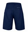 Picture of FORCE BLADE MTB SHORTS NAVY